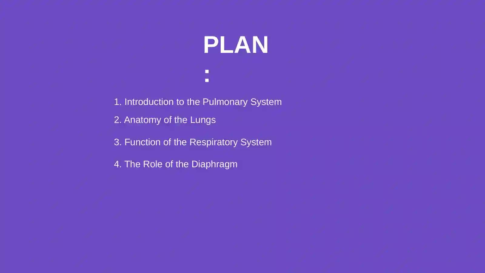 Lungs and a pulmonary system 2