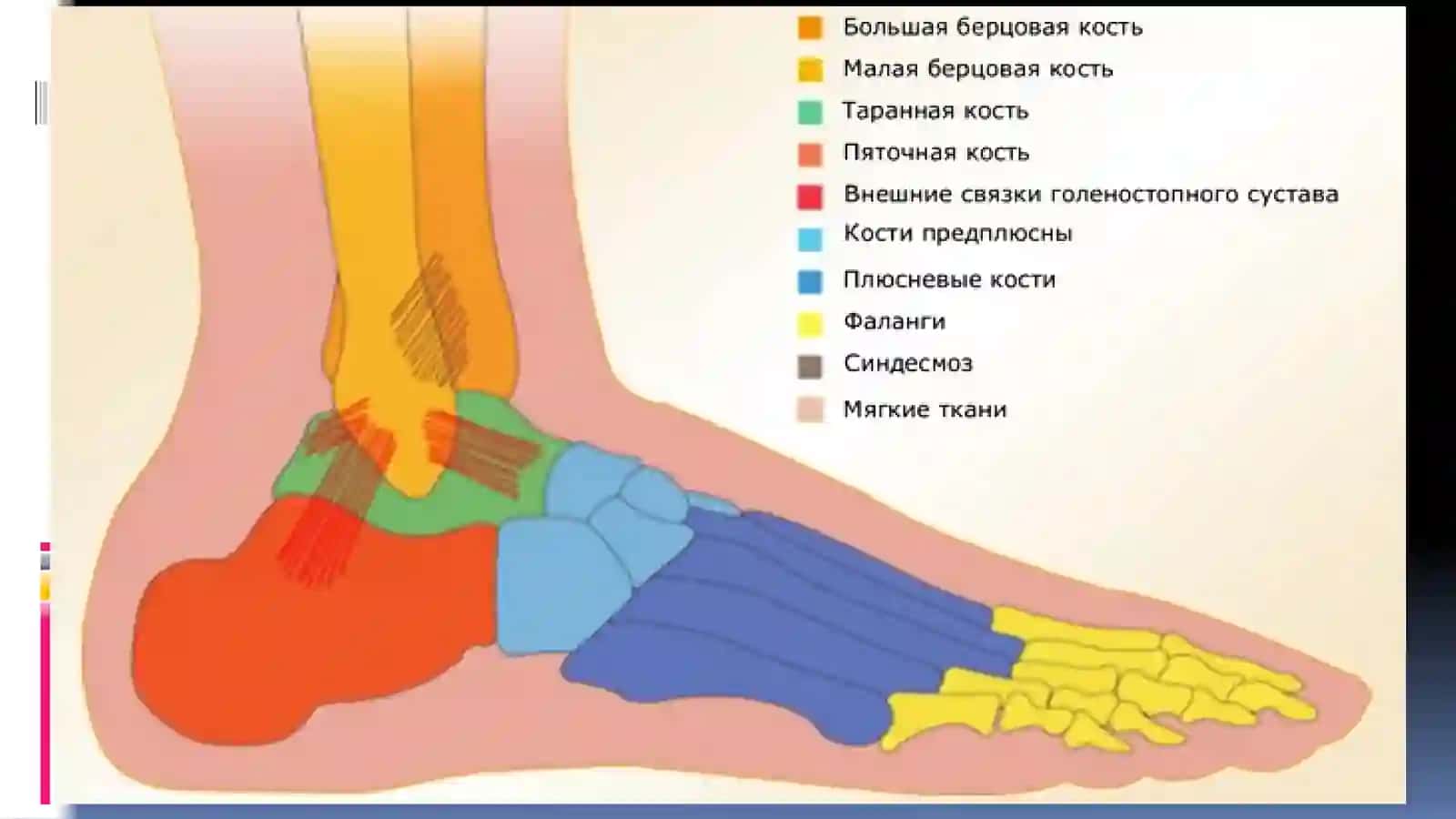 БОЛДИР ВА ОЁҚ ПАНЖА ЖАРОХАТЛАРИ 2