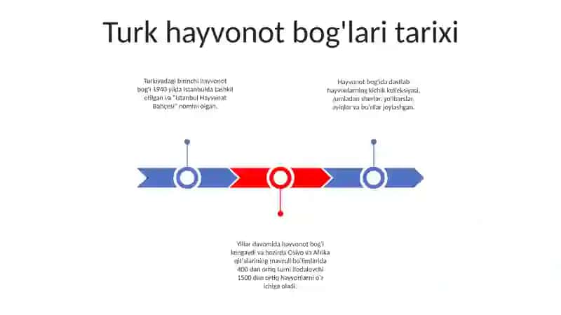 Turkiya Hayvonot BogʻI 2