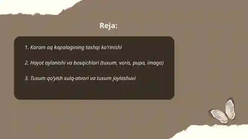 Karam oq kapalagi 2