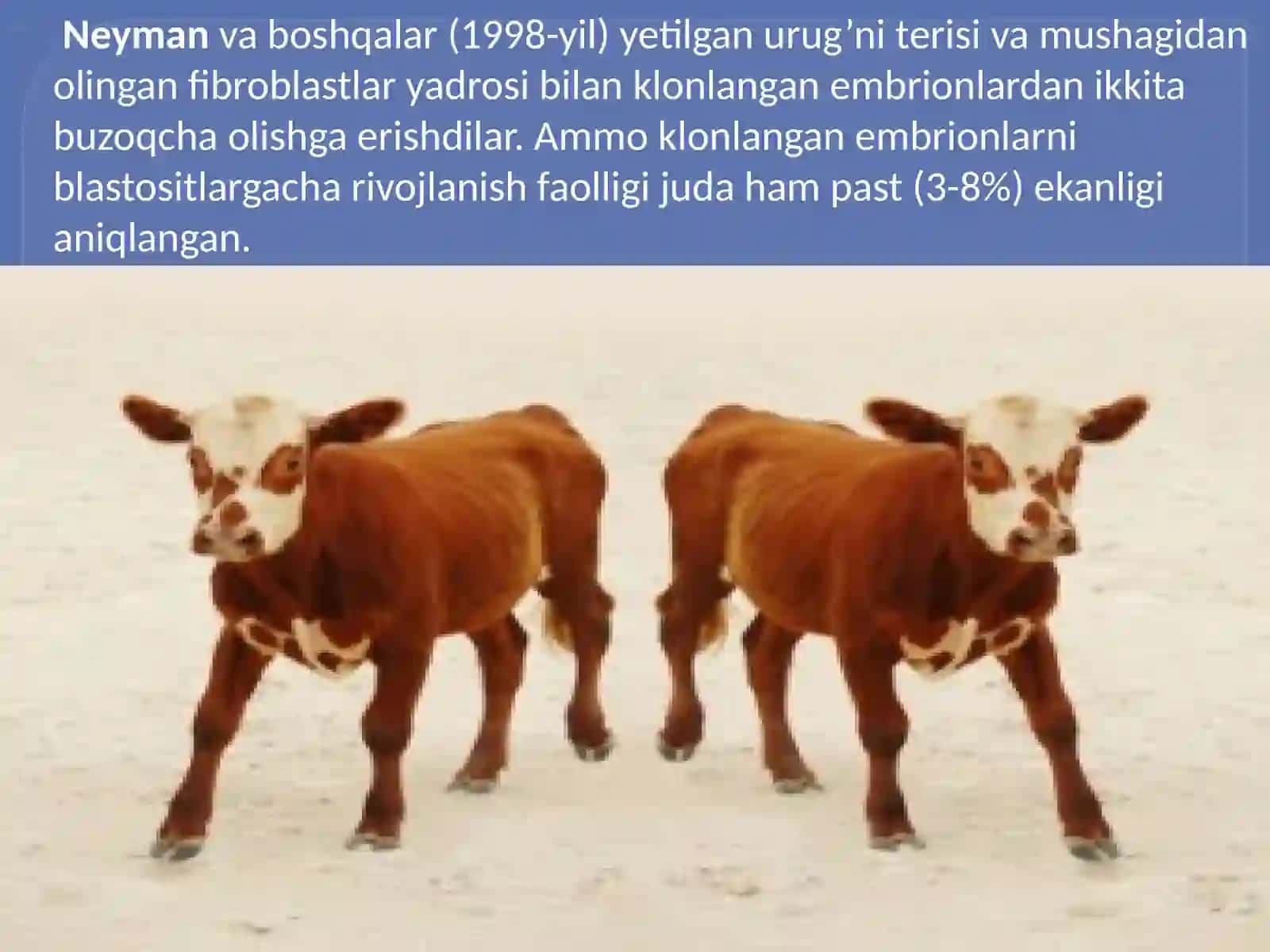 Vilmuthamkaslar 2