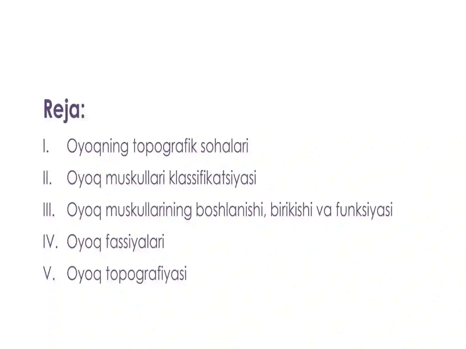 Oyoq mushaklari 2