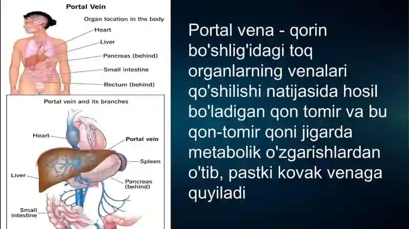 Portal gipertenziya 2