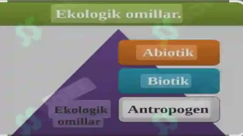 Turli ekologik omillarning Tirik organizmlarga ta’siri 2