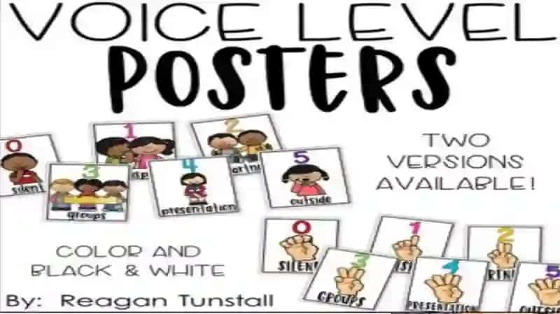 Voicelevelsposter 2
