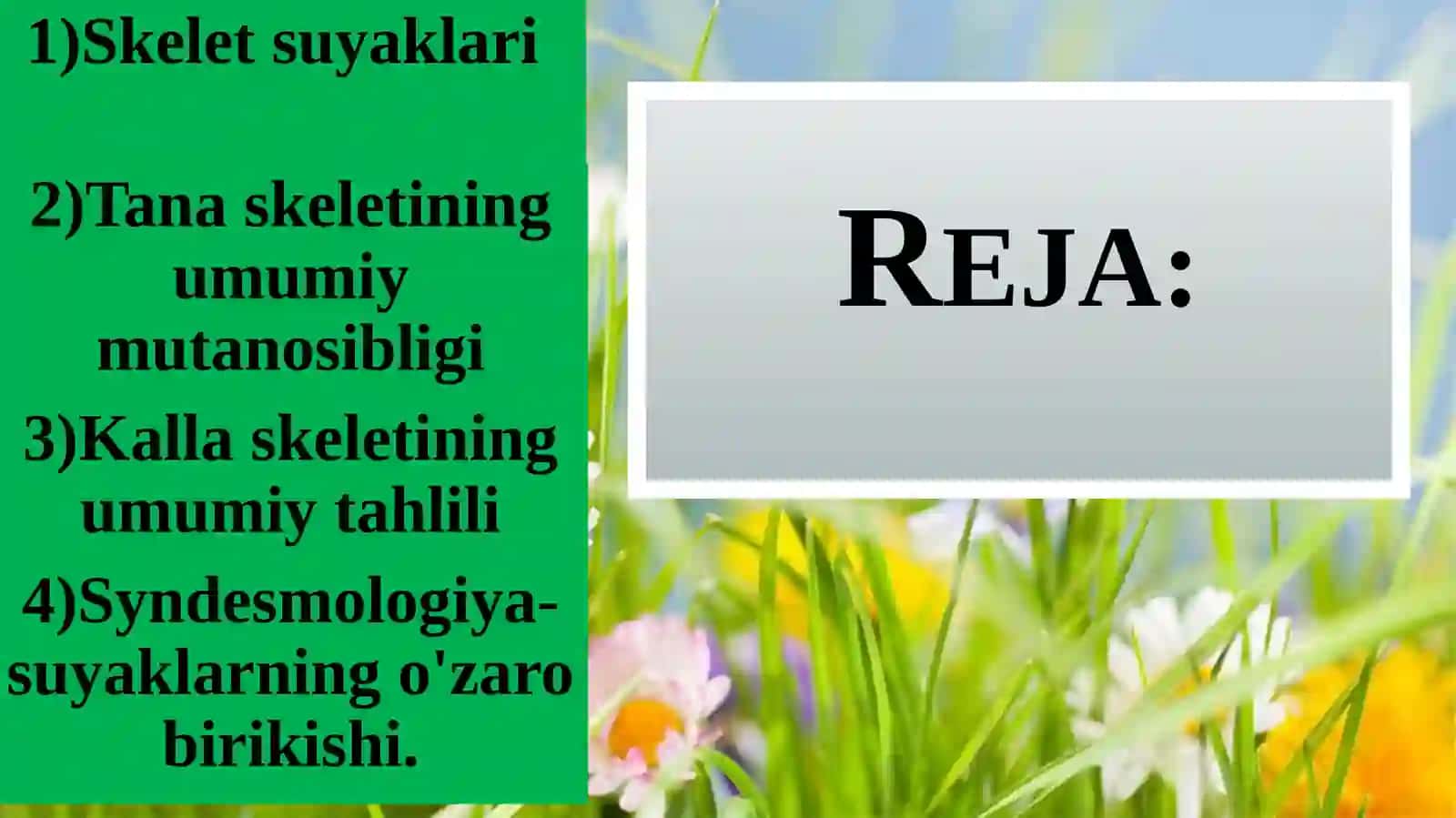 OSTEOLOGIYA SUYAKLAR XAQIDAGI FAN 2