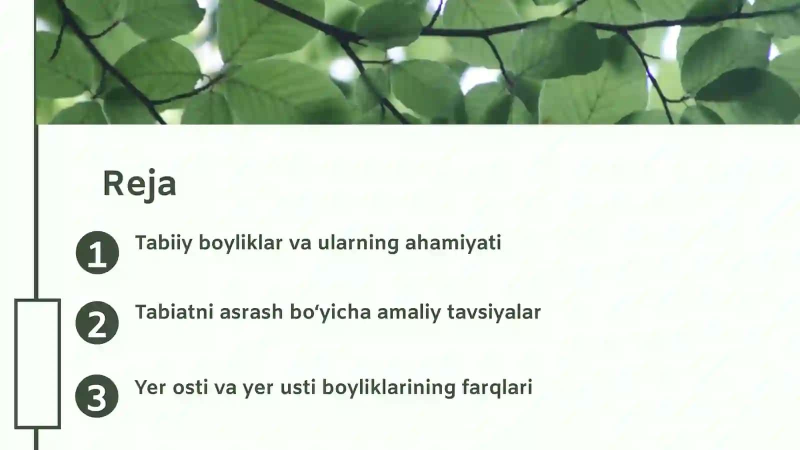 Tabiiy boyliklar 2
