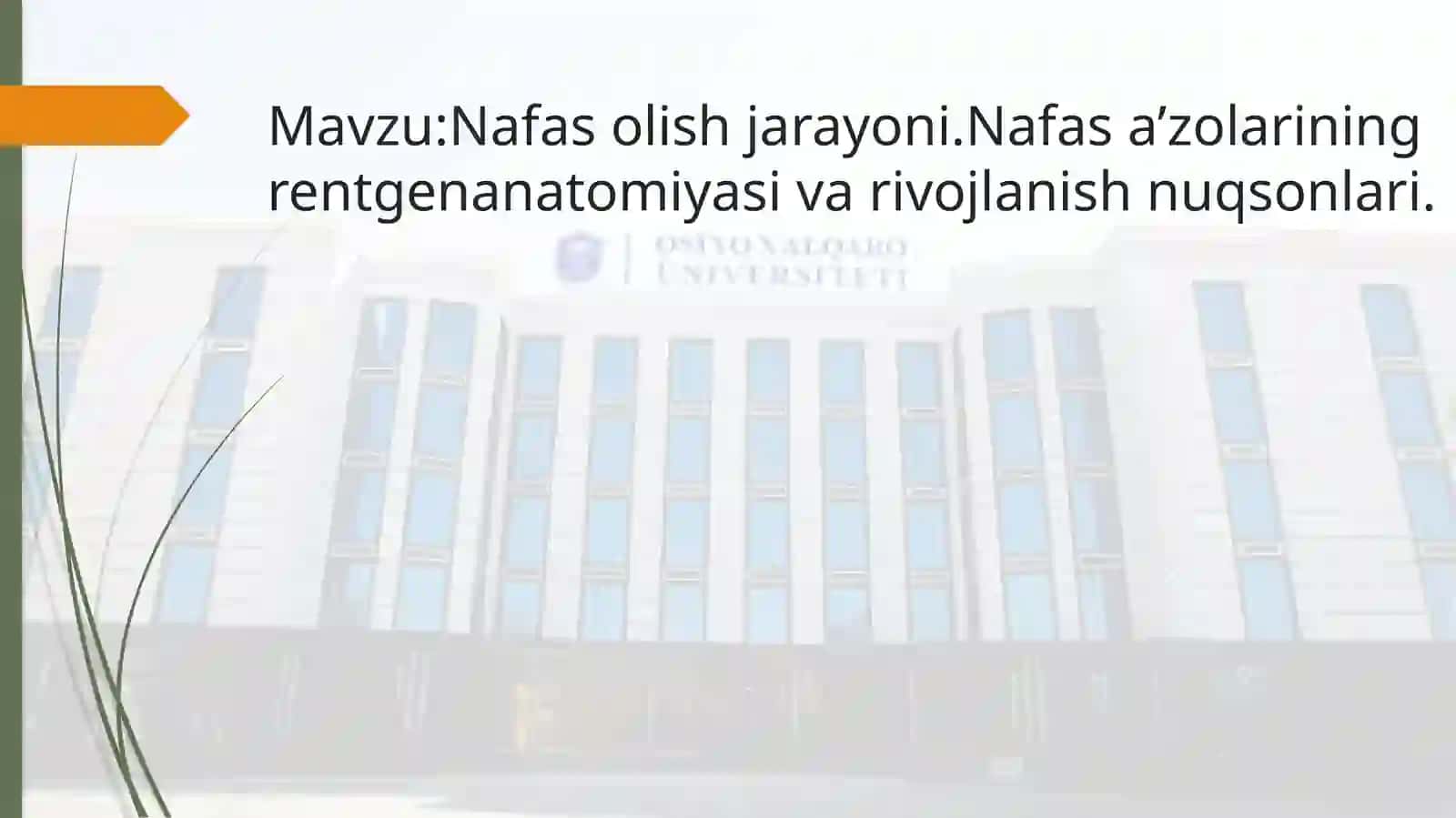 Nafas olish jarayoni. Nafas a'zolarining rentgen anatomiyasi va rivojlanish nuqsonlari 2