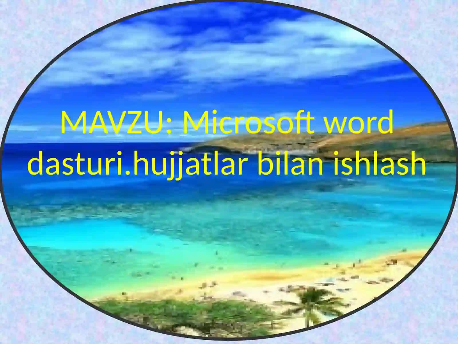 Microsoft Word 2