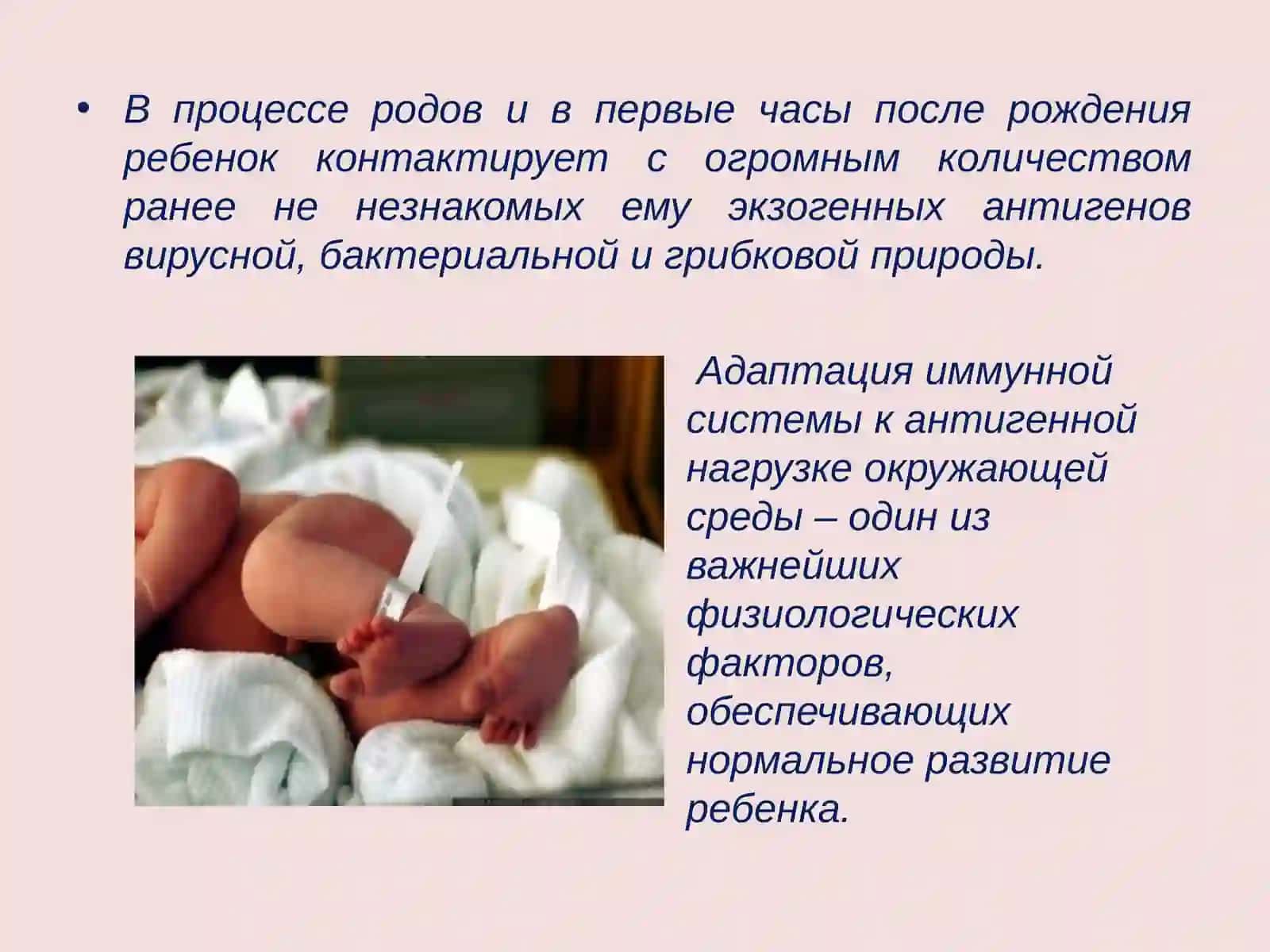 ИММУНАЯ СИСТЕМА 2