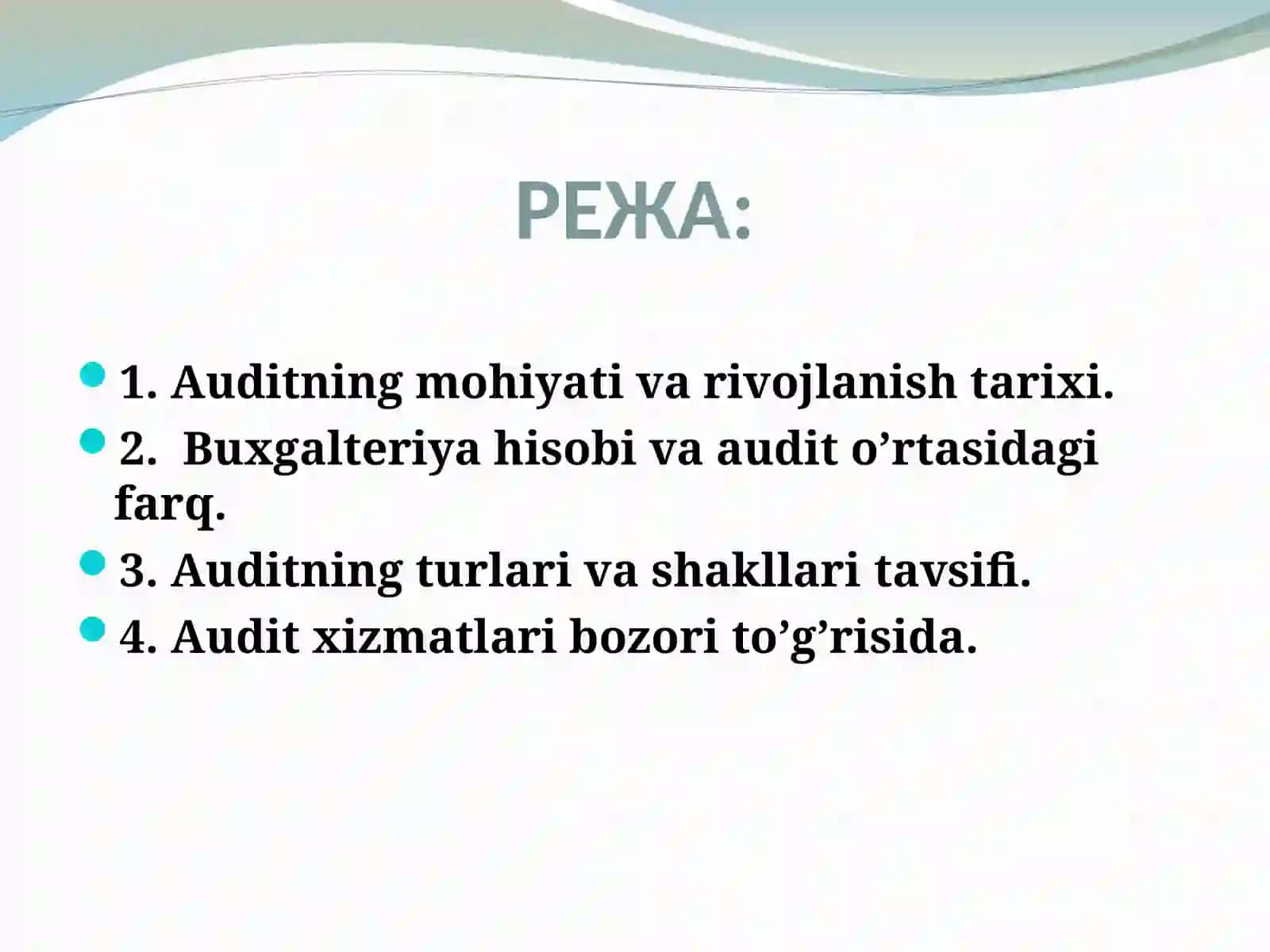 AUDITGA UMUMIY TAVSIF 2