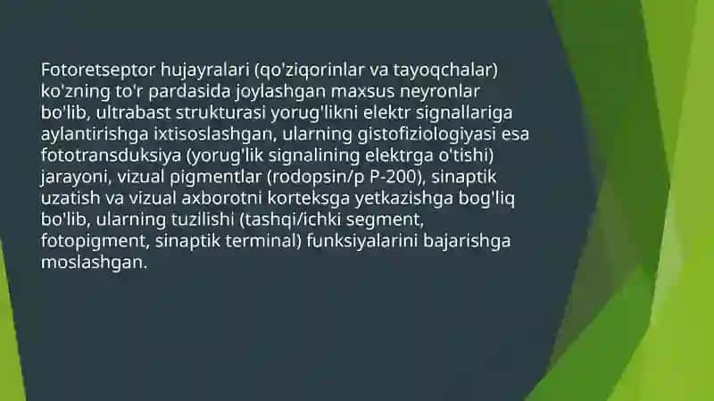 Fotoretseptor hujayralarining ultrastrukturasi va gistofiziologiyasi 2