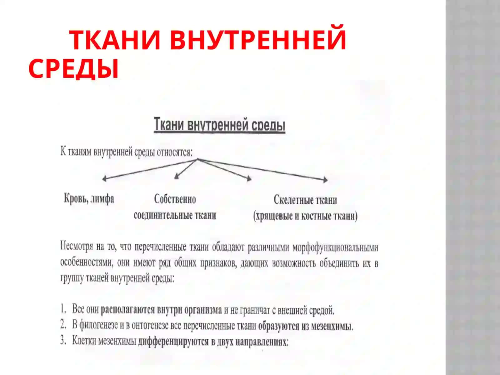 Ткани внутренней среды 2
