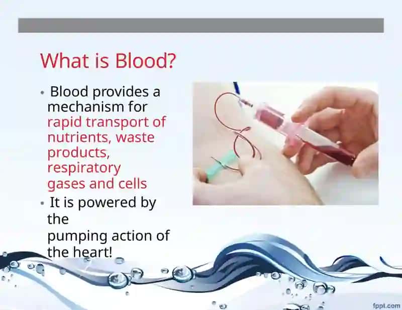 What is Blood? 2