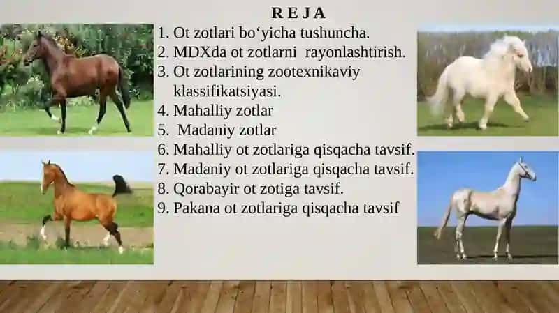 Ot Zotlari 2