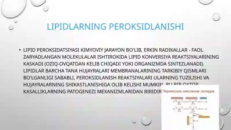 Lipidlar Haqida 2