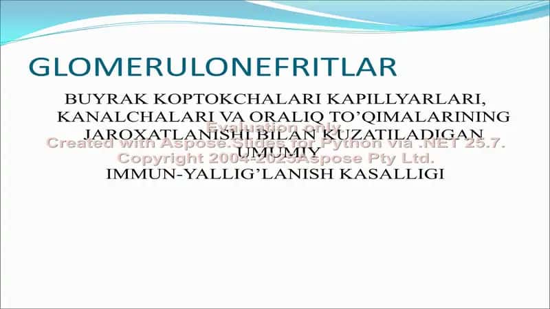 Glomerulonefritlar 2