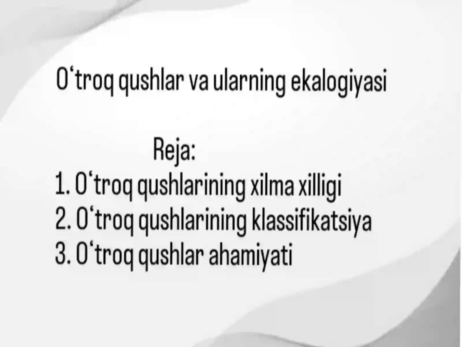 Qushlar 2