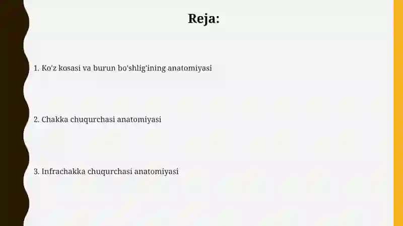 Orbita Anatomiyasi 2