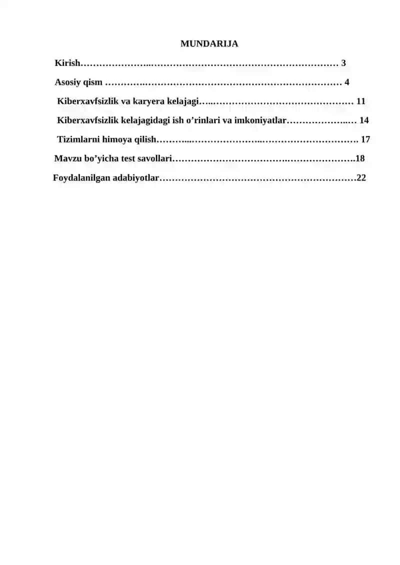 Kiberxavfsizlik 2