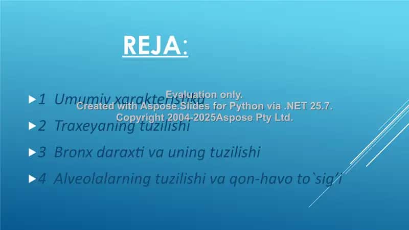Nafas olish sistemasi 2