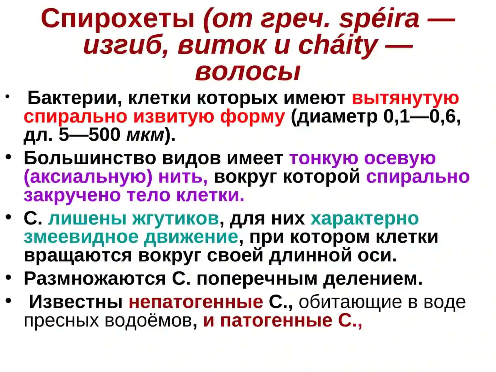 Спирохетозы 2