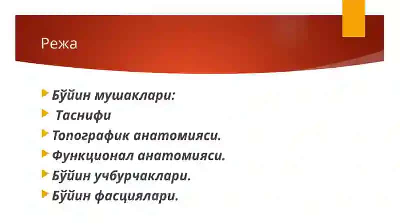 Бўйин мушаклари 2