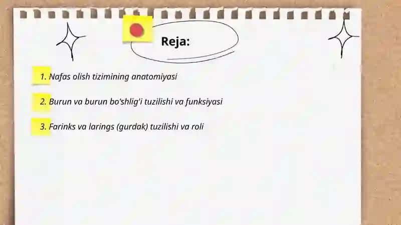 Nafas olish tizimi 2