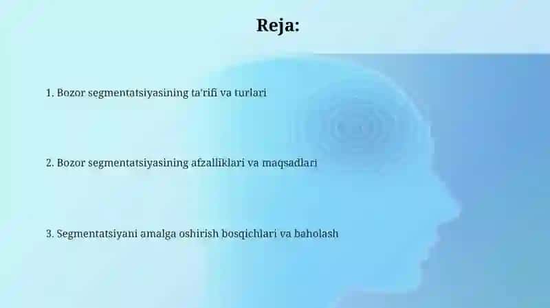 Bozor segmentatsiyasi 2