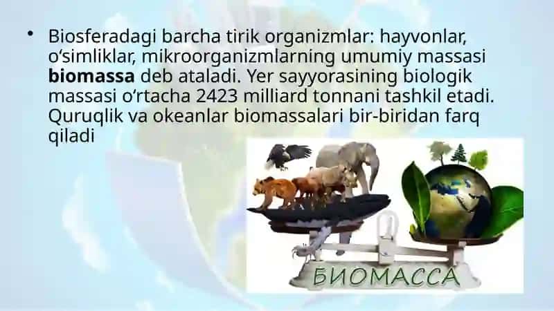 Biosfera biomassasi 2