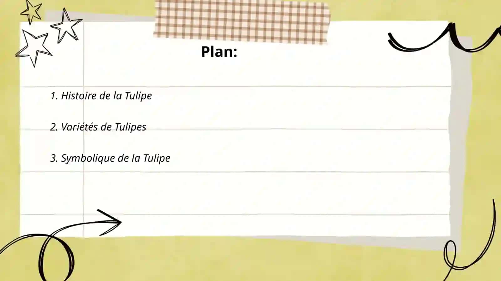 Tulipe 2