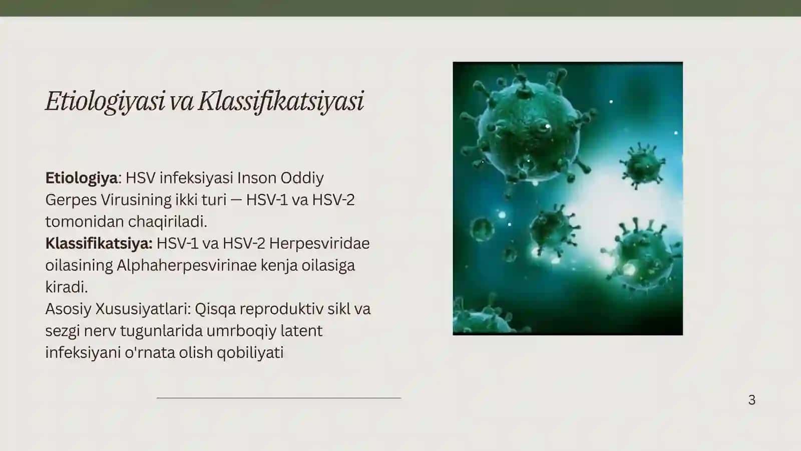 Oʼtkir gerpes va sitomegalovirus 2