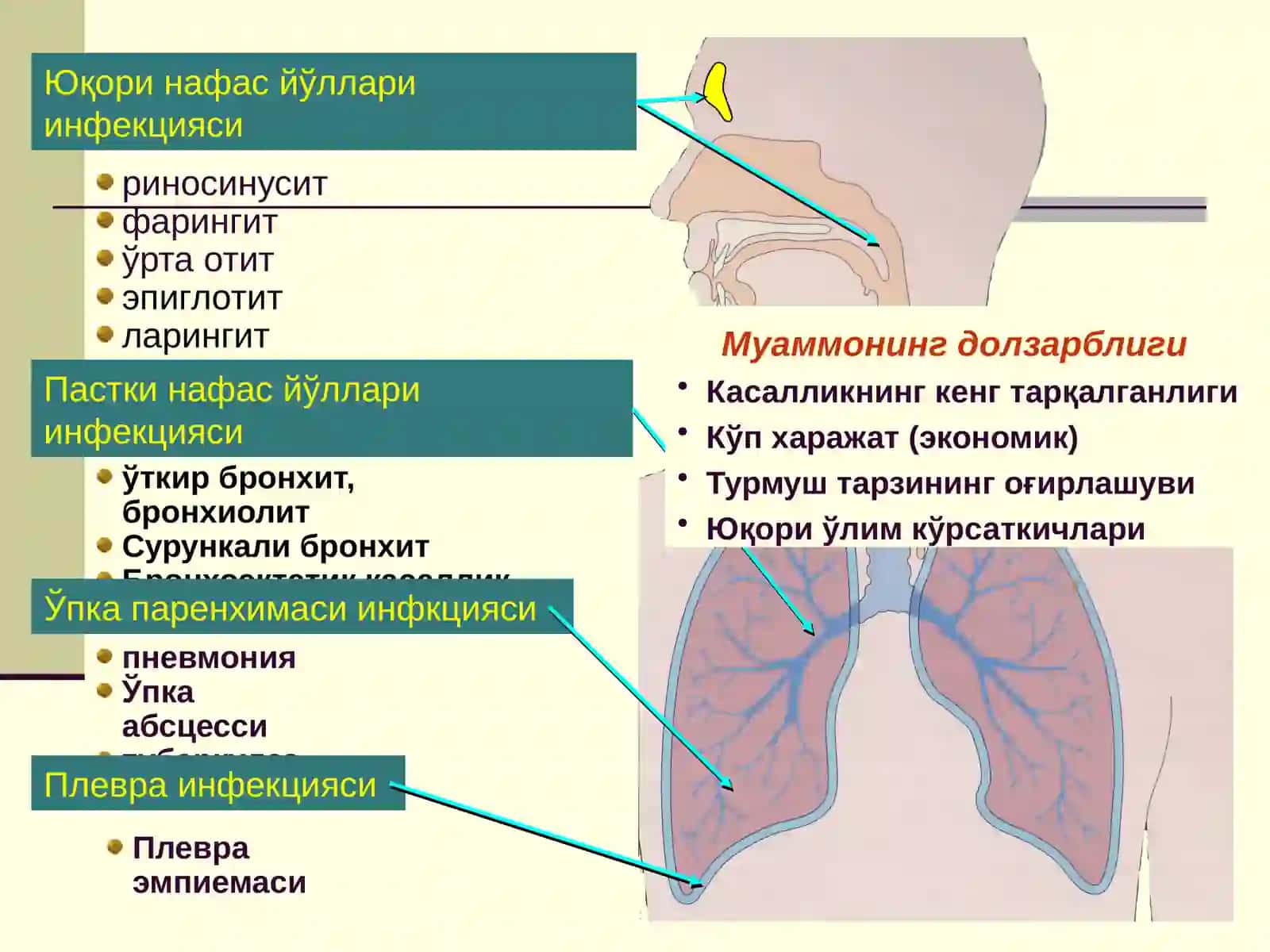БОЛАЛАРДА ЎТКИР ПНЕВМОНИЯ 2
