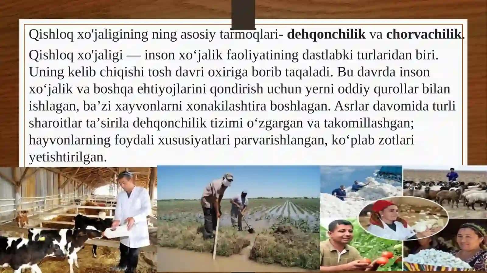 Qishloq xo‘jaligining rivojlanish tarixi 2