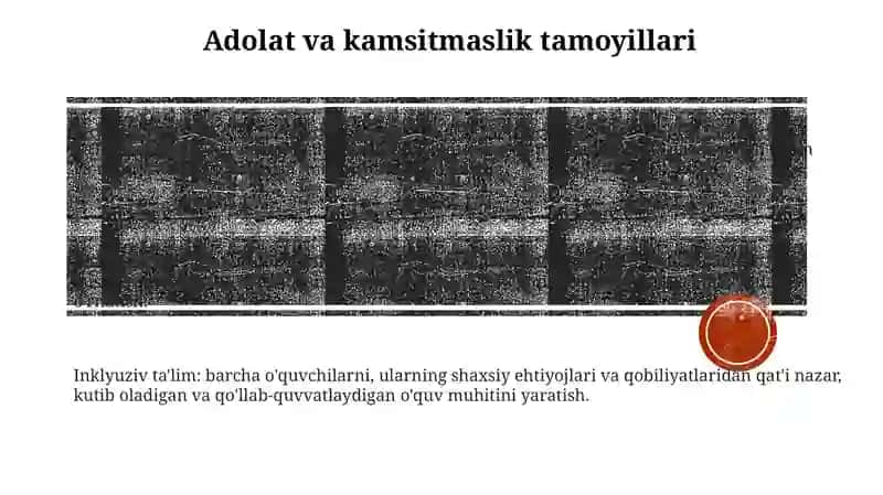 Samarali Inklyuziv Ta'lim 2