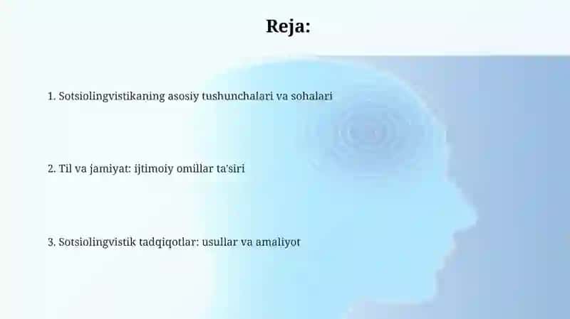 Sotsiolingvistika 2