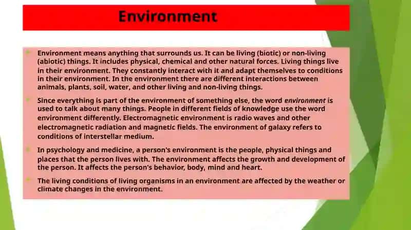 Environment 2