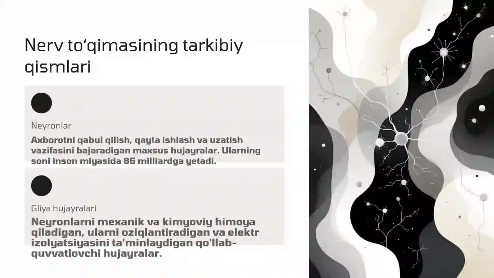 Nerv to'qimasi 2