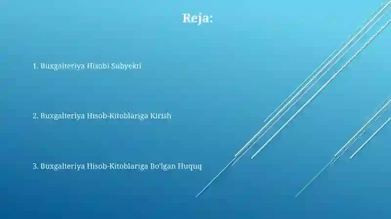 Bugalteriya Hisobi Subyekti 2