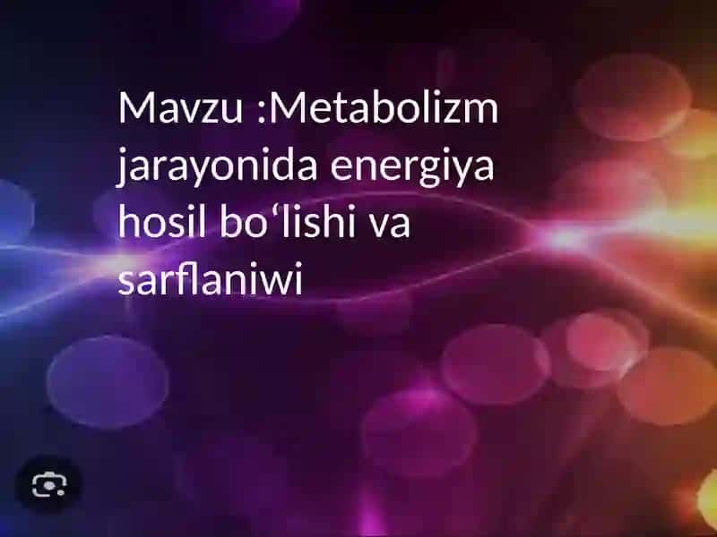 Metabolizm 2