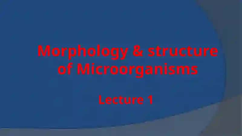 Microbiology Lecture 1 2