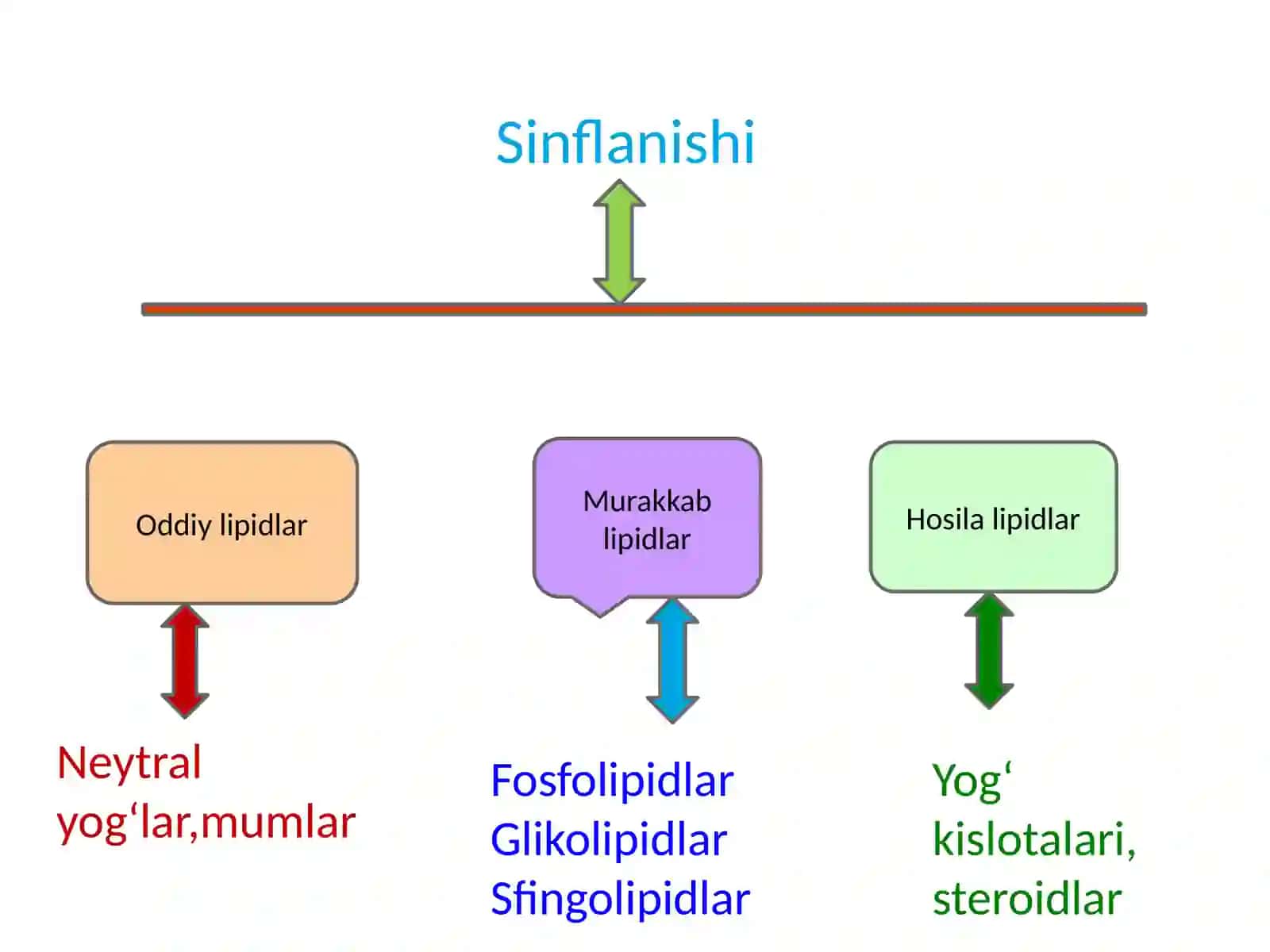 Lipidlar.Sovunlanadigan lipidlar. 2