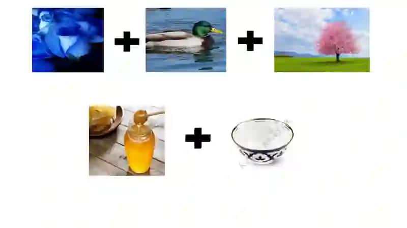 Rebus 2