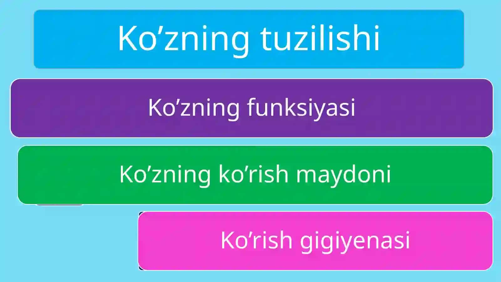 Ko’zning tuzilishi 2