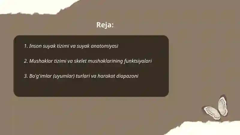 Inson harakatlanish tizimi 2