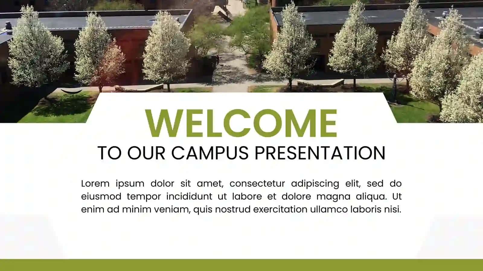 COLLEGE PRESENTATION 2