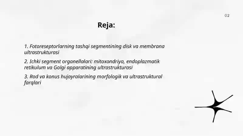 Fotoreseptor hujayralarining ultrastrukturalari va gistofiziologiyasi 2