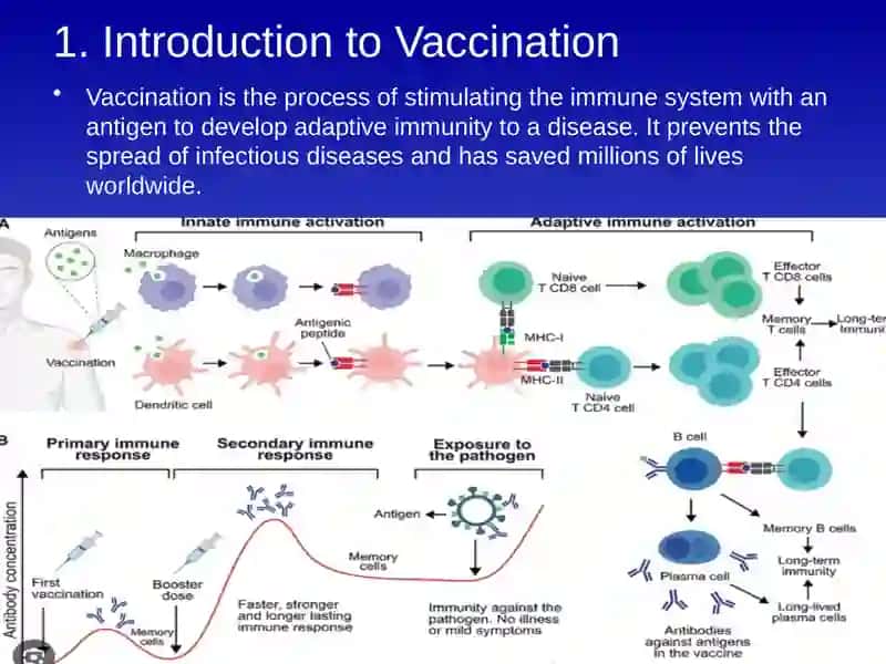 The Importance of Vaccination 2