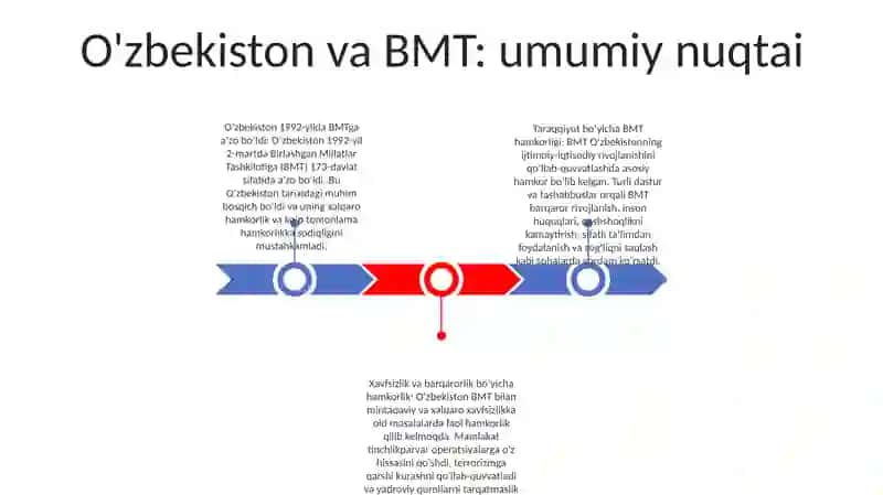 O‘zbekiston va BMT: umumiy nuqtai 2