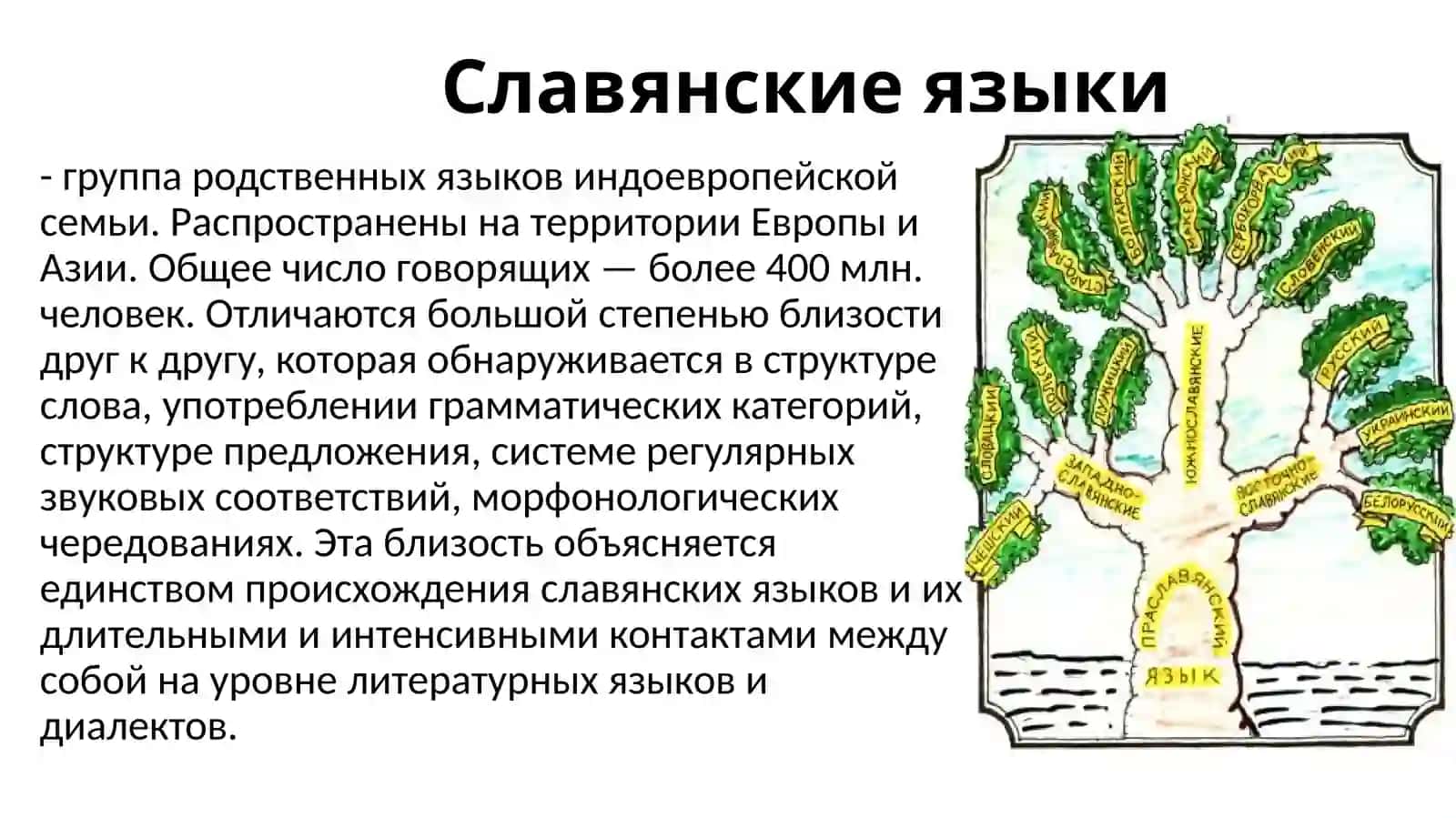 Славянские языки 2